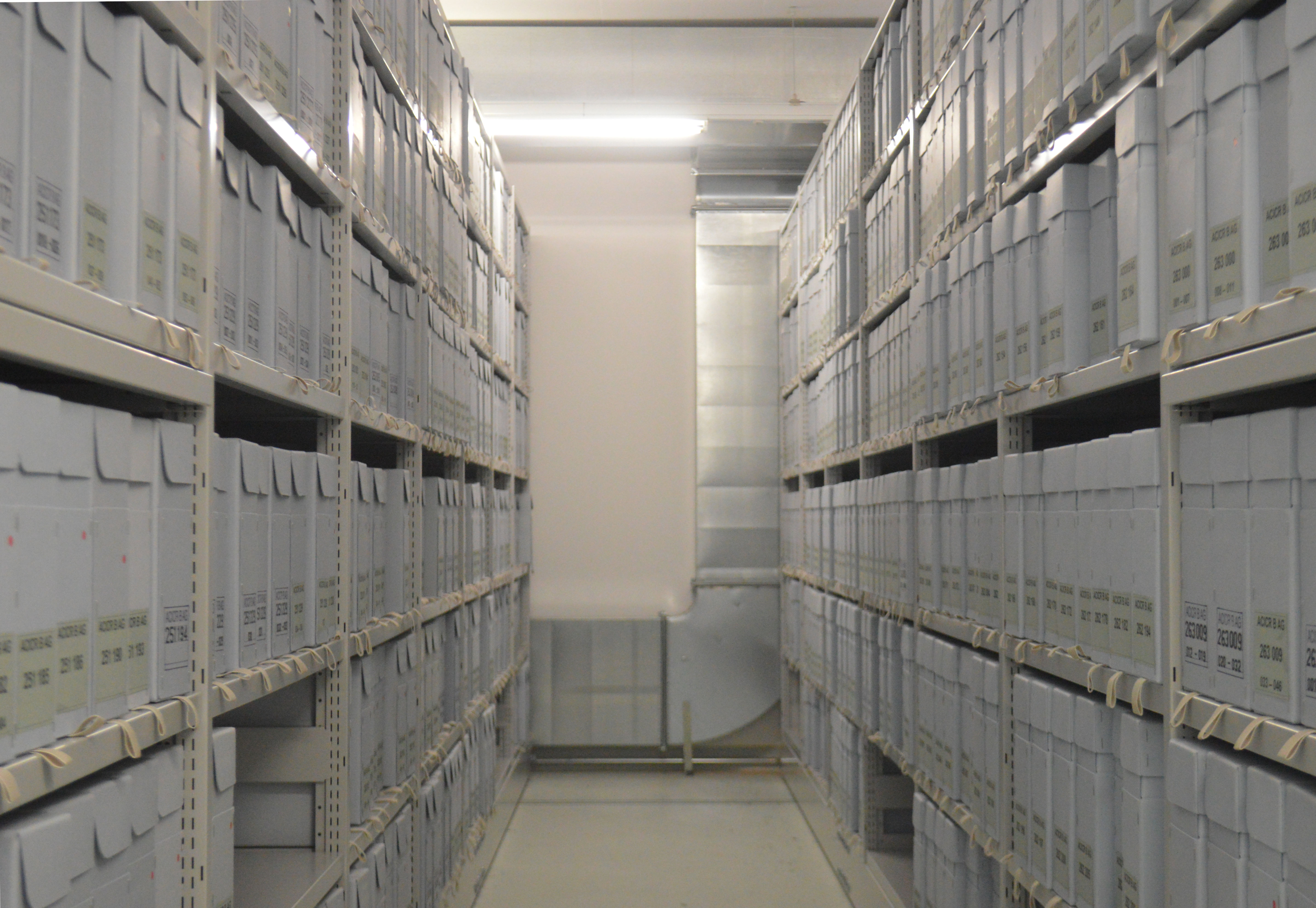 Digital Archives